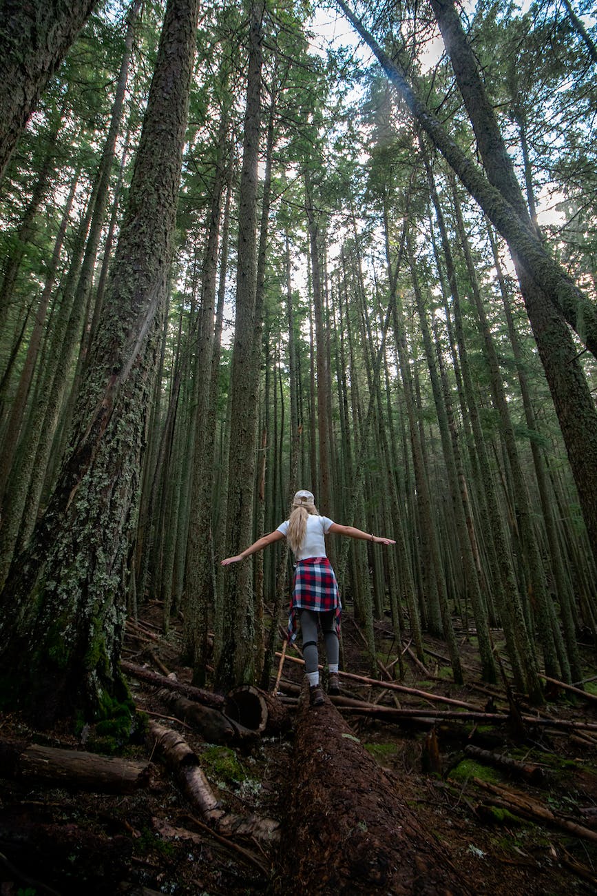 back view of a woman walking on a log in the forest