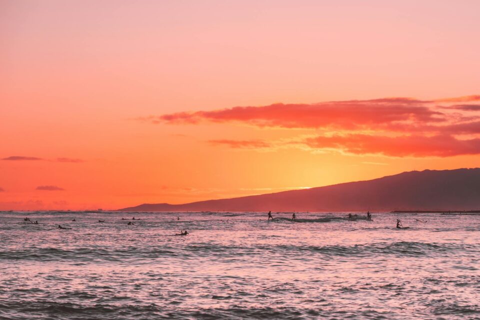 surfers on the sea water during sunset