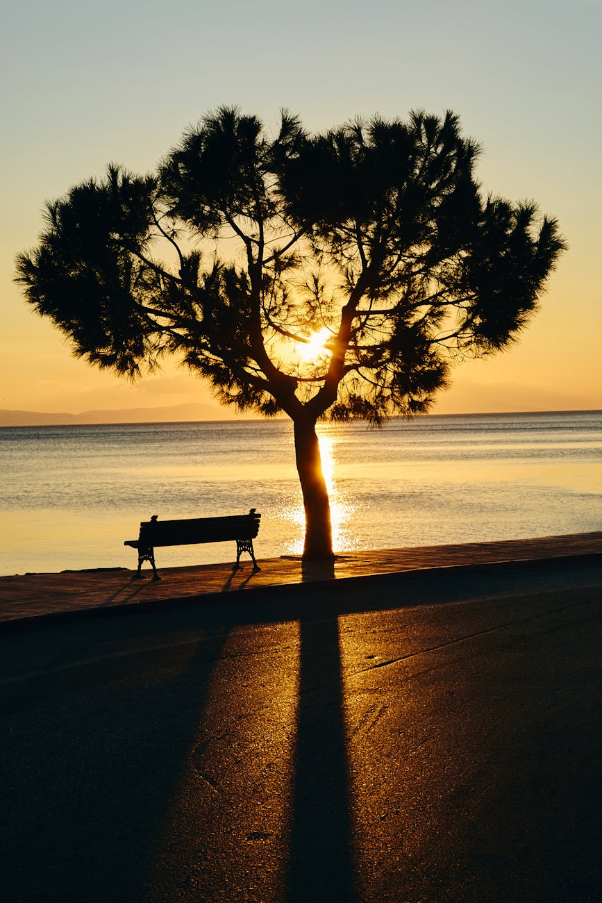 serene sunset over a tranquil seascape