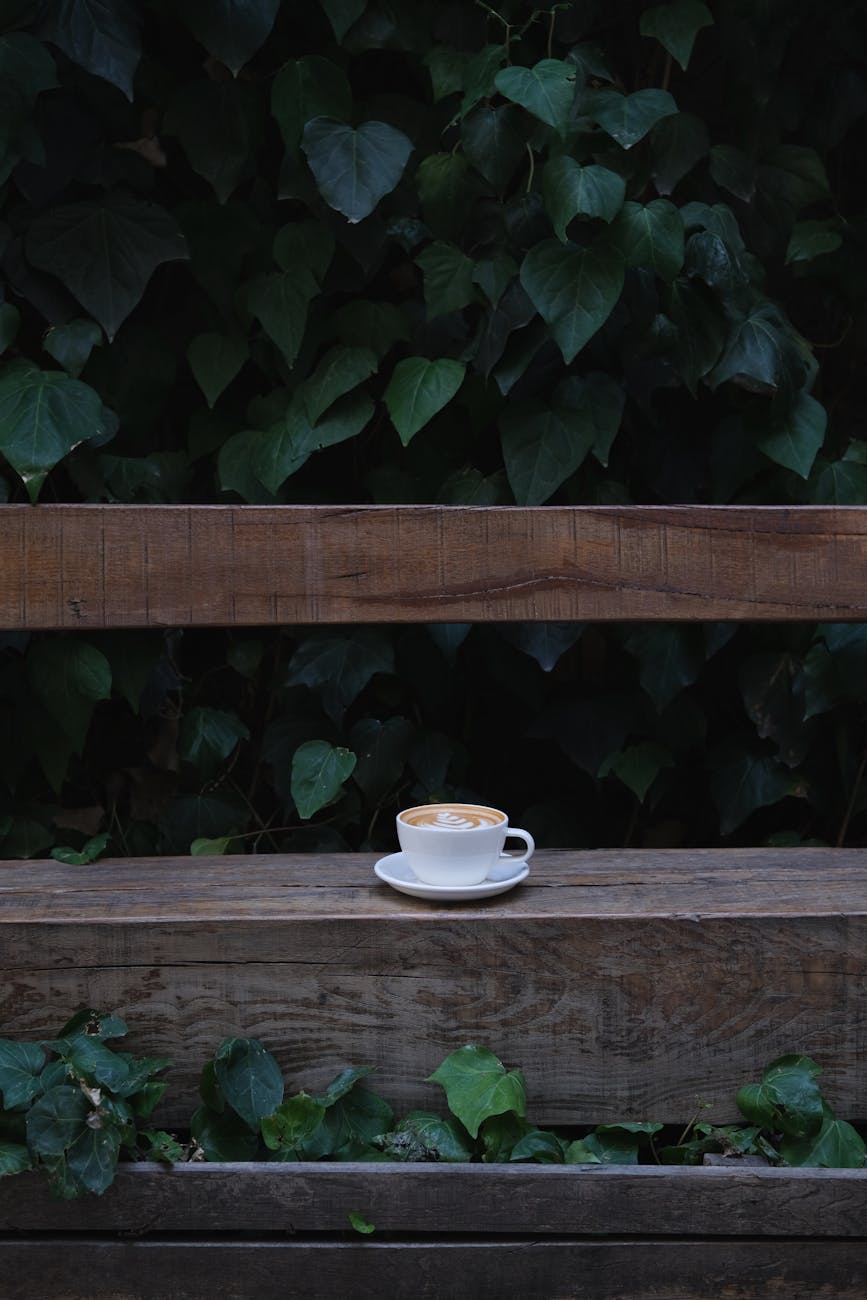 rustic coffee cup on wooden bench outdoors