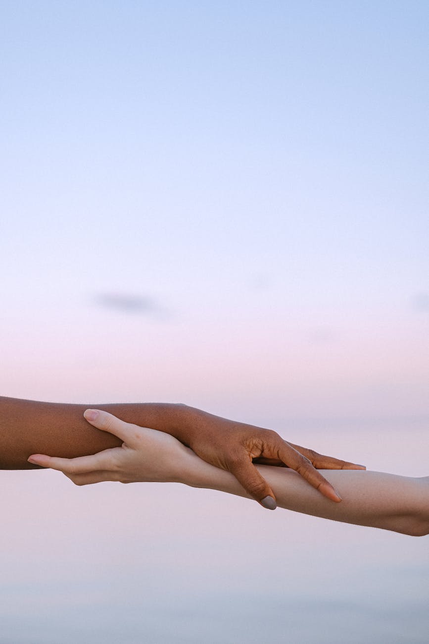 photo of people s hands