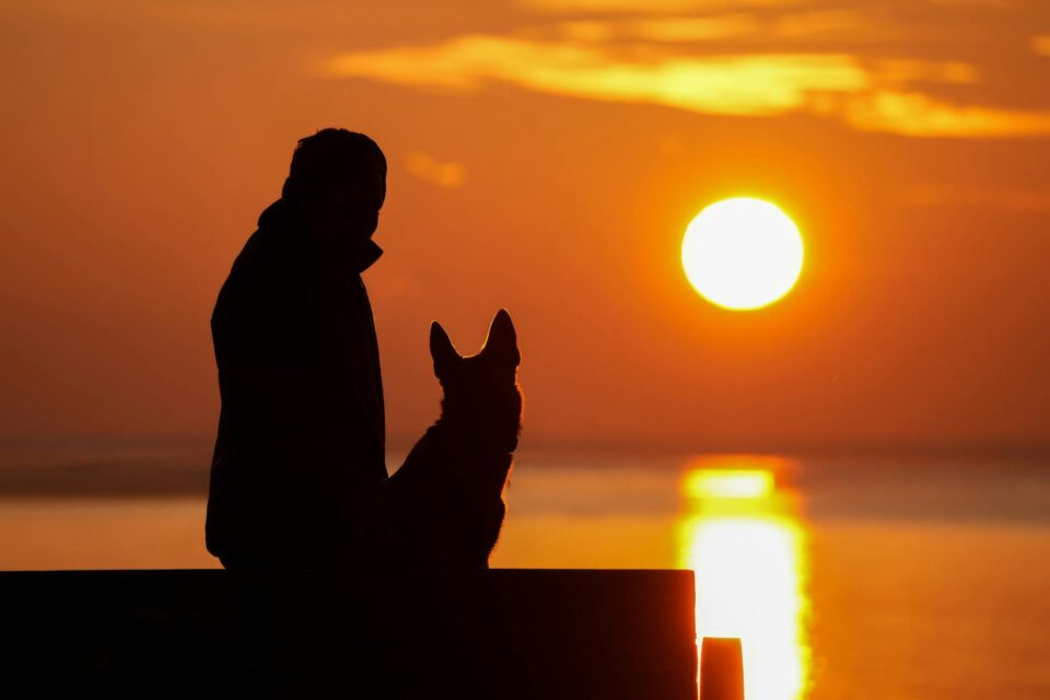 silhouette of person and dog at sunset by beach