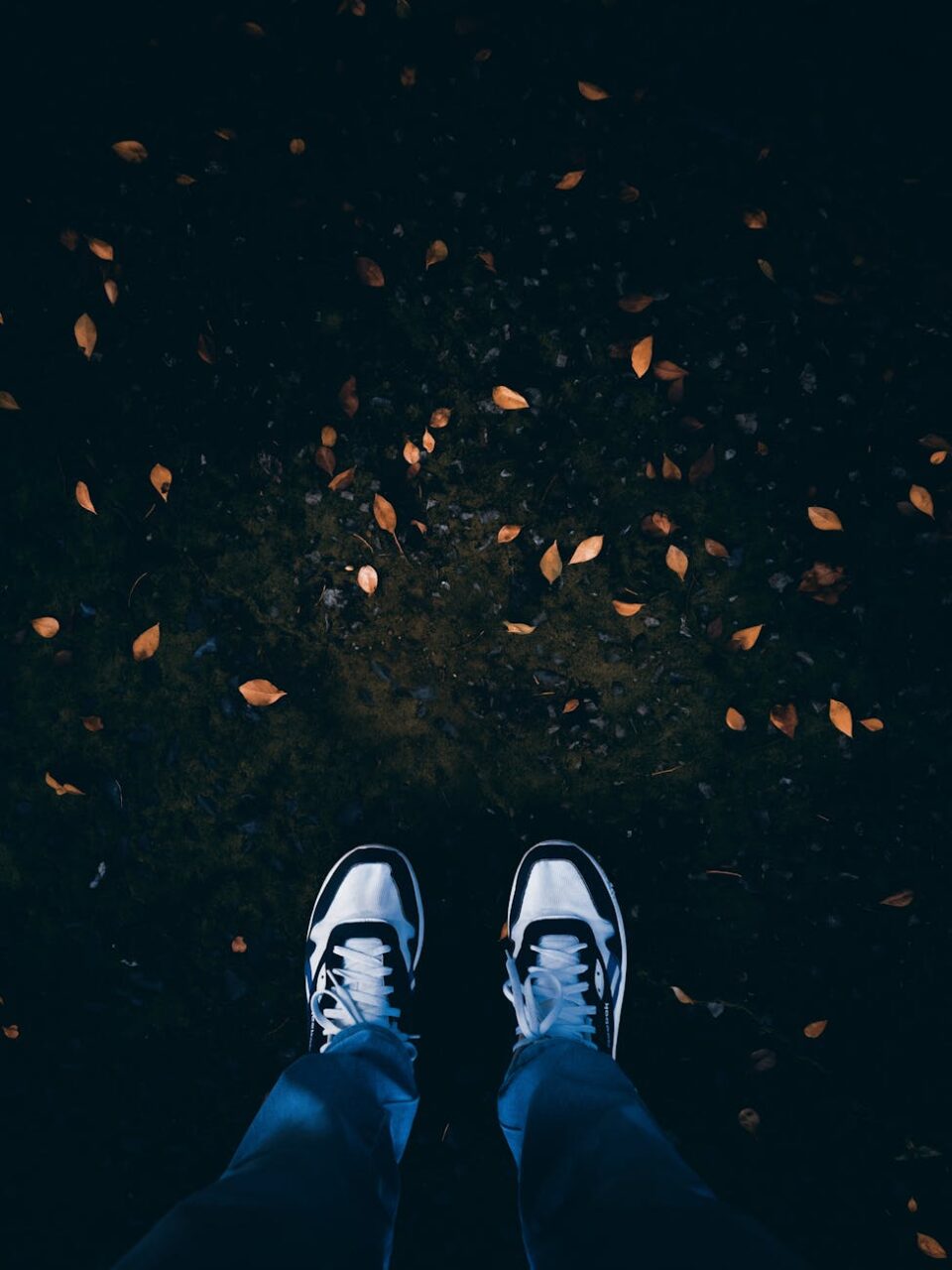 casual sneakers on leaf covered ground at night