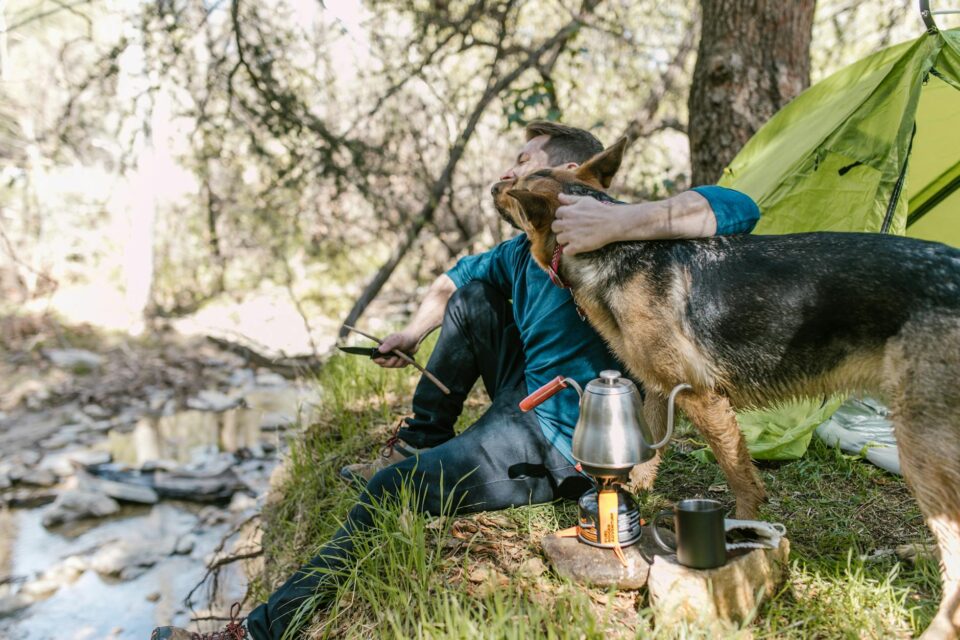man in blue long sleeve shirt hugging black and brown dog