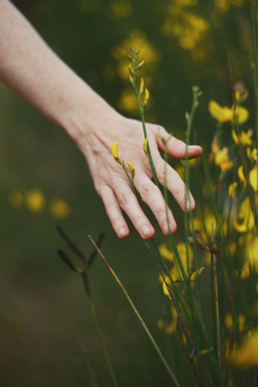 person s arm gliding through plants