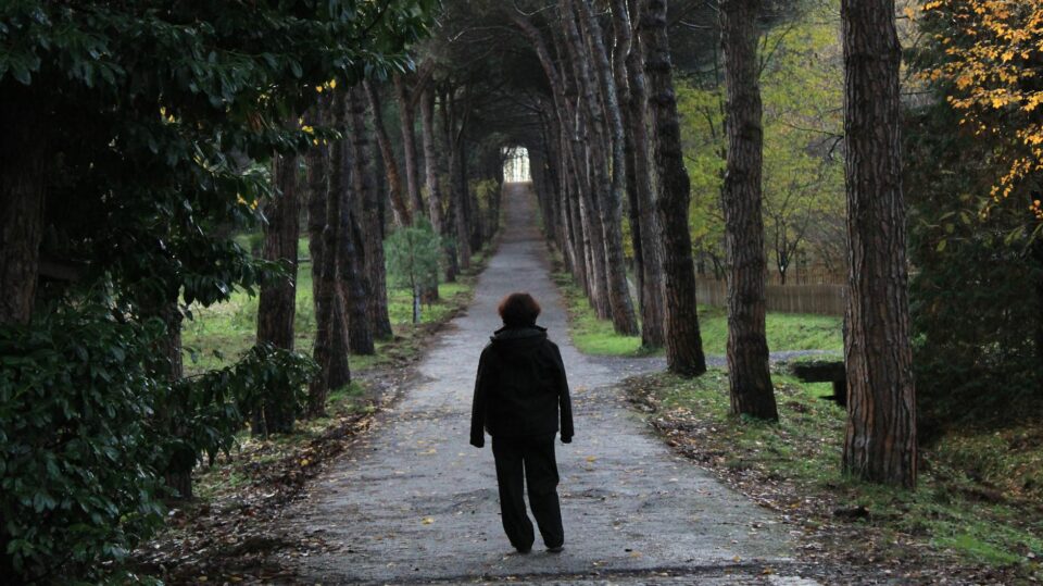 lone walker on forest pathway in autumn
