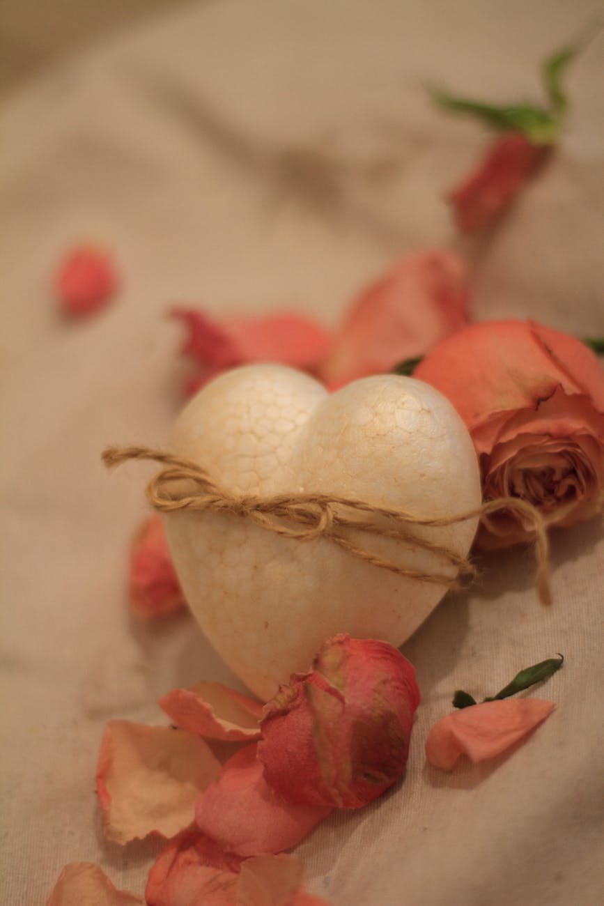 heart and rose petals