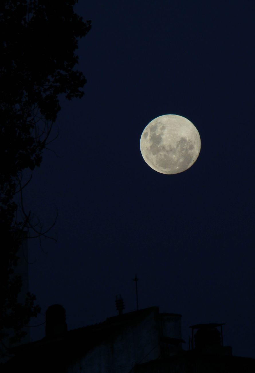 full moon over silhouette of trees
