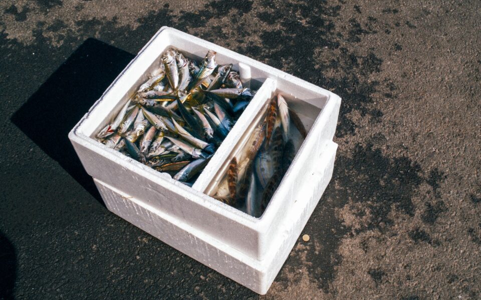 fresh seafood in styrofoam box at market
